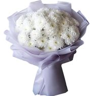 11 білих хризантем