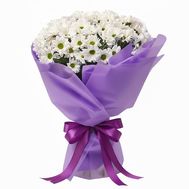 11 ромашкових хризантем