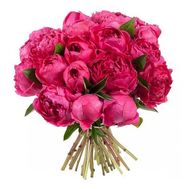 13 бордових півоній