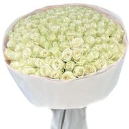 151 біла троянда 70 см