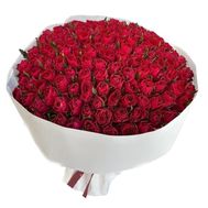 151 червона троянда 50 см