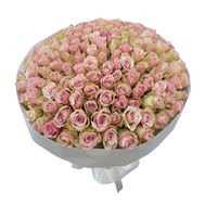 151 кремово-рожева троянда