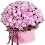 151 півонія в коробці