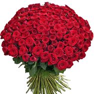151 троянда 70 см