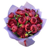 19 бордових півоній