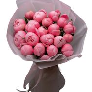 19 кораллових півоній