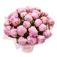 21 рожева півонія