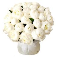 25 білих півоній