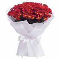 Букет із червоних хризантем