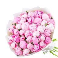 25 рожевих півоній