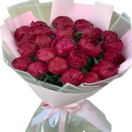 27 бордових півоній