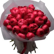 29 бордових півоній