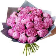 29 рожевих українських півоній