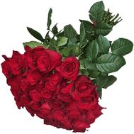 Букет 31 червона троянда на довгому стеблі