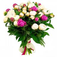 35 різнокольорових півоній