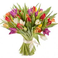 45 різнокольорових тюльпанів