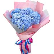 5 блакитних гортензій