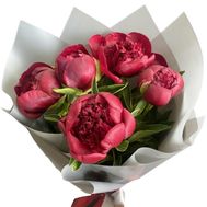 5 бордових півонів