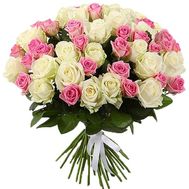 51 біла і рожева троянда