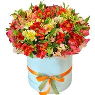 55 альстромерій мікс в коробці