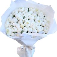 55 білих півоній