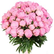 55 рожевих півоній