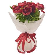7 бордових півоній