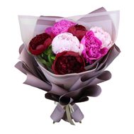 7 різнокольорових півоній