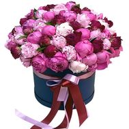 71 півонія в коробці