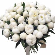 75 білих півоній