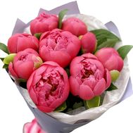 9 яскраво рожевих піоній