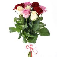 9 різнокольорових троянд