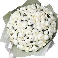 99 білих півоній