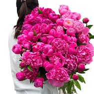 Букет із 101 рожевих півоній