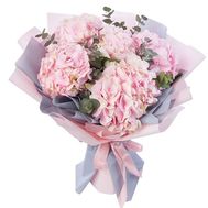 Букет 5 рожевих гортензій