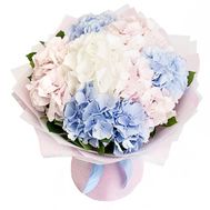 Букет із 7 гортензій різного кольору