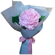 Букет рожевої гортензії