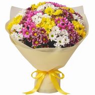 Яскравий букет із 27 різнокольорових хризантем