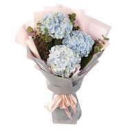 Ніжні блакитні гортензії