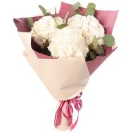 Ніжні гортензії