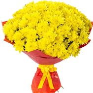 Жовті хризантеми в букеті