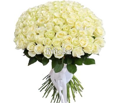101 біла троянда 60 см