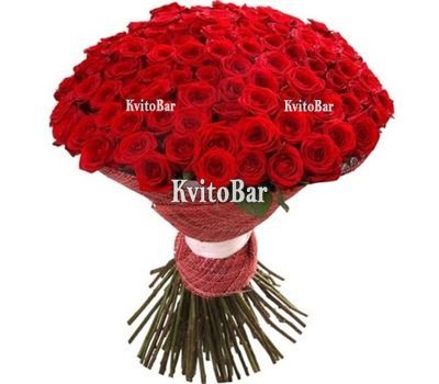 101 red rose 70 cm