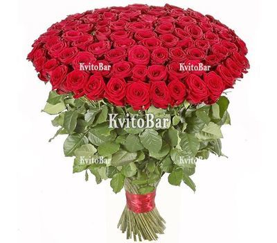 101 импортная метровая роза