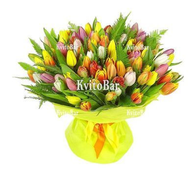 101 різнокольоровий тюльпан