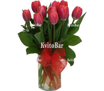 11 червоних тюльпанів