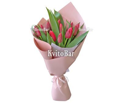 11 красных тюльпанов