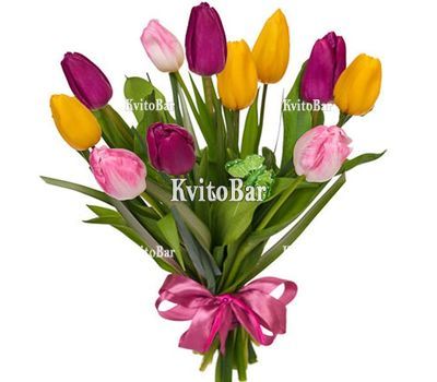 11 різнокольорових тюльпанів