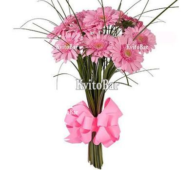 11 розовых гербер