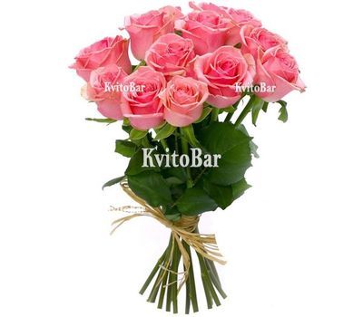 11 рожевих троянд
